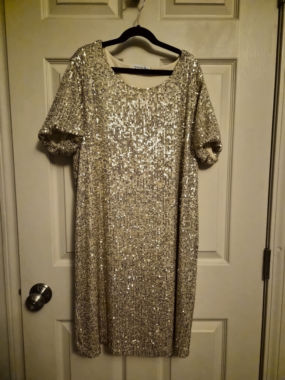 Metallic Sequin Short Sleeve Dress - Silver